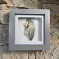 Coastal Bird Pebble Art Frame - Handmade Pebble & Shell Wall Art - Nature Inspired Coastal Gift