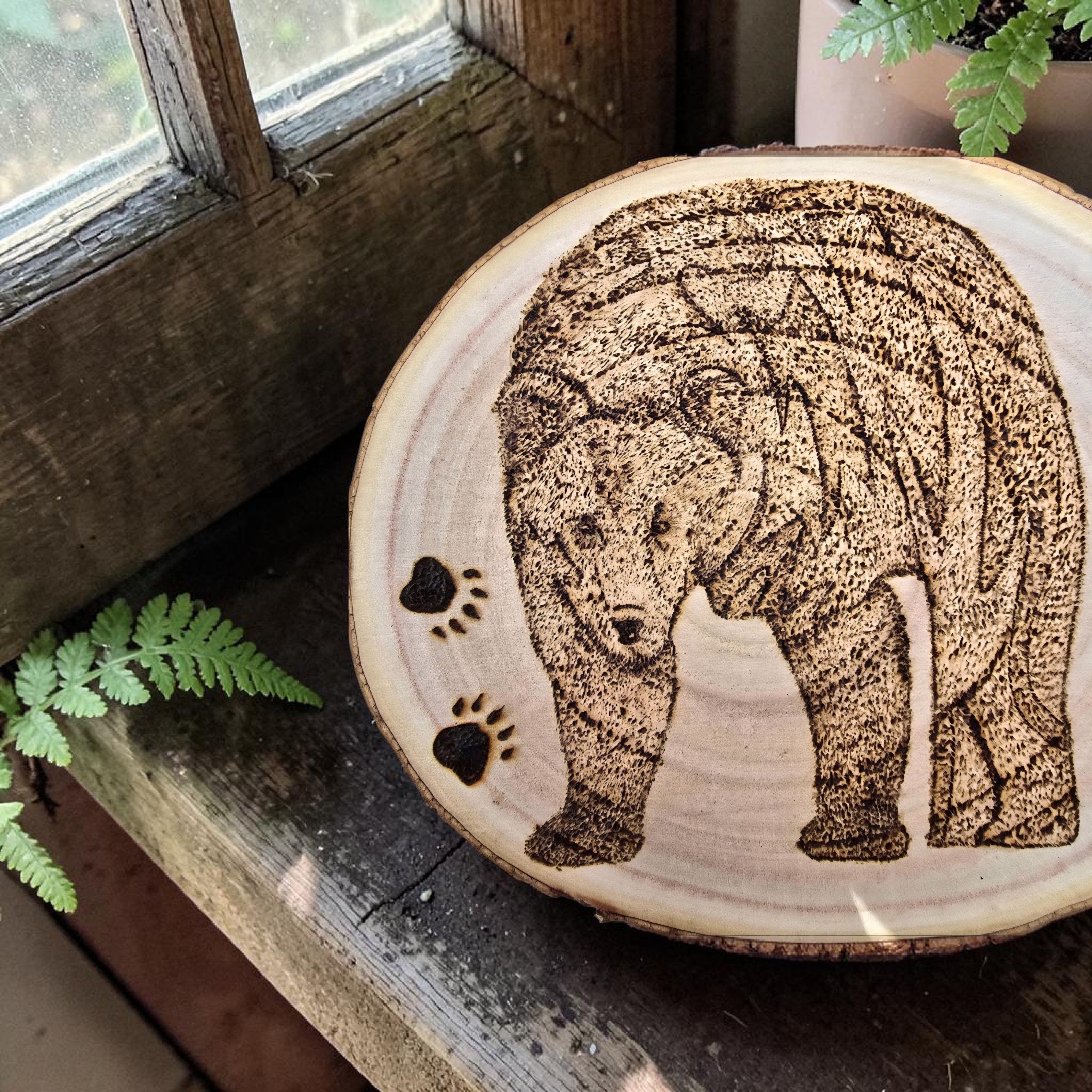 Hand Burned Bear Wood Slice Art - Pyrography Wall Decor - Rustic Wildlife Gift - Handmade Cornish Creations