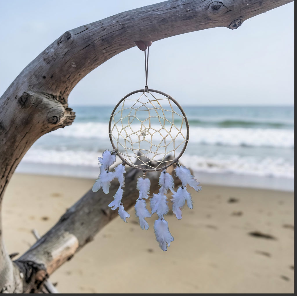 Coastal Dreamcatcher - Beach Boho Decor - Driftwood Inspired Dream Catcher - White Feather Wall Hanging - Cornish Coastal Home Decor - Cornish Creations