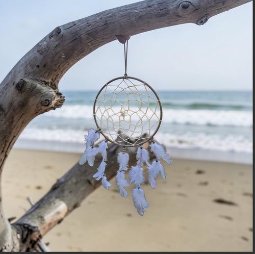 Coastal Dreamcatcher - Beach Boho Decor - Driftwood Inspired Dream Catcher - White Feather Wall Hanging - Cornish Coastal Home Decor - Cornish Creations